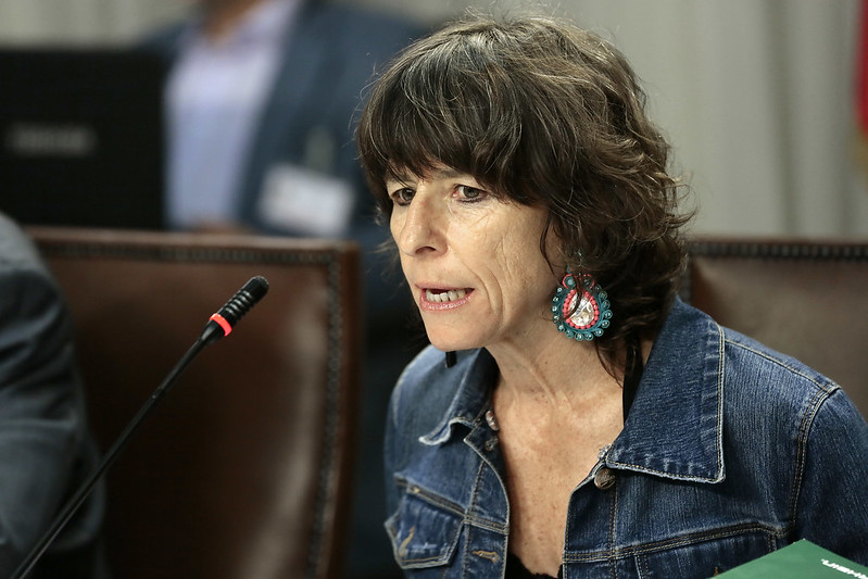 Diputada Girardi solicita información sobre procedimiento de entrega de canastas Junaeb