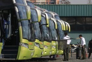 Ministra de Transportes confirmó que Turbus volverá a operar apartir del 21 de abril