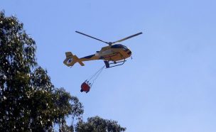 Ministro de Agricultura se pronunció a accidente de helicóptero en el Maule que terminó con un fallecido