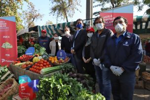 Feriantes de la comuna de Santiago podrán vender sus productos de forma online