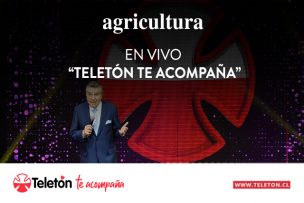 EN VIVO | Sigue la transmisión de la Teletón 2020