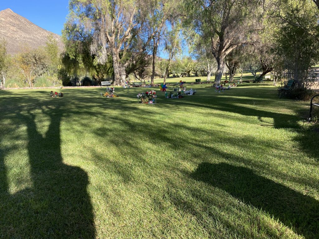 Un cementerio que “avanza”: El sello “ecológico” del Parque Valle de Auco