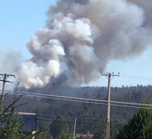 Voraz incendio forestal afecta a parte alta de Valparaíso: se encuentra descontrolado