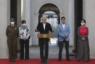 Presidente Piñera llamó al Congreso a aprobar la ley de Ingreso Familiar de Emergencia