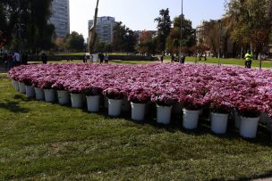 Banco de Chile celebró Día de la Madre con corazón de flores y concierto móvil