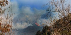 Mantienen Alerta Roja en Quilpué y Limache por incendio forestal activo