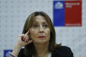 Ex subsecretaria de Redes Asistenciales y alta tasa de ocupación de las camas críticas: 