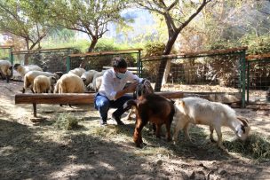 Entregan ayuda a animales de Granja Aventura afectados por Covid-19