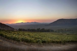 Los Lagos: preocupante retroceso de la frontera agrícola ampliaría desigualdad en territorios rurales