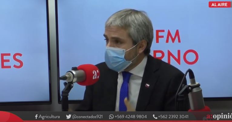 Ministro Blumel: “Pensar que la cuarentena puede ser un instrumento permanente e indefinido es no mirar la realidad”