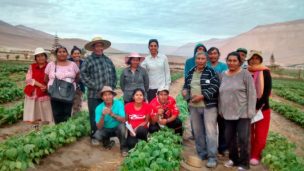 INIA URURI apoya a agricultores en tiempos de cuarentena