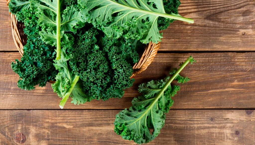 Quién es el chileno que se convirtió en el productor pionero de kale en el país