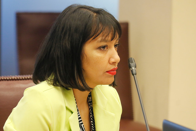 Diputada de RD recibió caja de alimentos del Gobierno: “Yo no sé con qué criterio están repartiéndose”