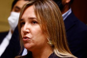 Diputada Hoffmann afirma que renuncia de Santelices fue una 