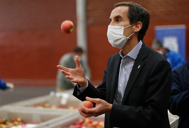 Alcalde Alessandri y el debate sobre fijación de precios: “Le digo a autoridades, columnistas y economistas que bajen a terreno y vean la realidad”