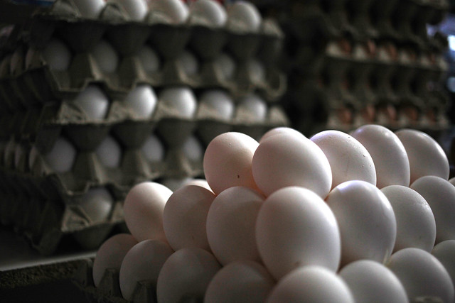 Precio de los huevos aumentó durante la pandemia del Covid-19