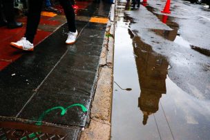 Caídas de árboles, cortes de luz y calles anegadas deja nuevo sistema frontal en la zona centro-sur