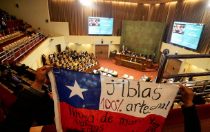 Cámara de Diputados defenderá ley de la Jibia ante el Tribunal Constitucional