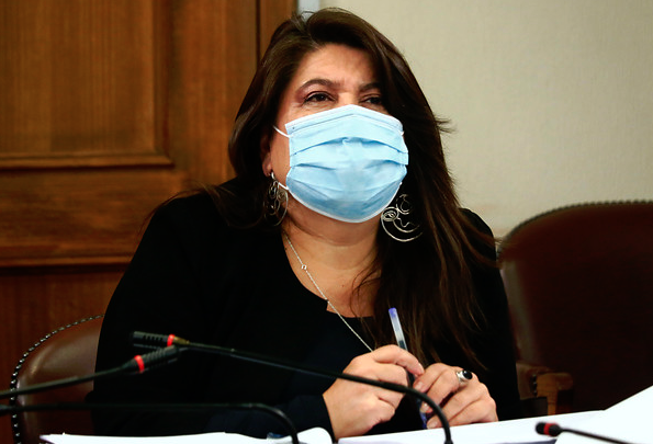 Diputada Mix interpone denuncia contra Ministerio de Desarrollo Social por cajas de alimentos