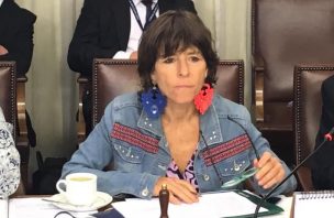 Diputada Girardi anunció proyecto para prohibir suspensión de ferias libres durante pandemia