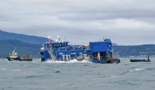 Los Lagos: SMA ordena medidas urgentes a empresa Salmones Blumar S.A. tras hundimiento de jaulas