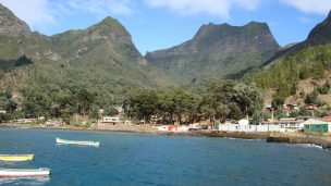 Conaf elimina especies exóticas invasoras en la plazoleta El Yunque de Juan Fernández