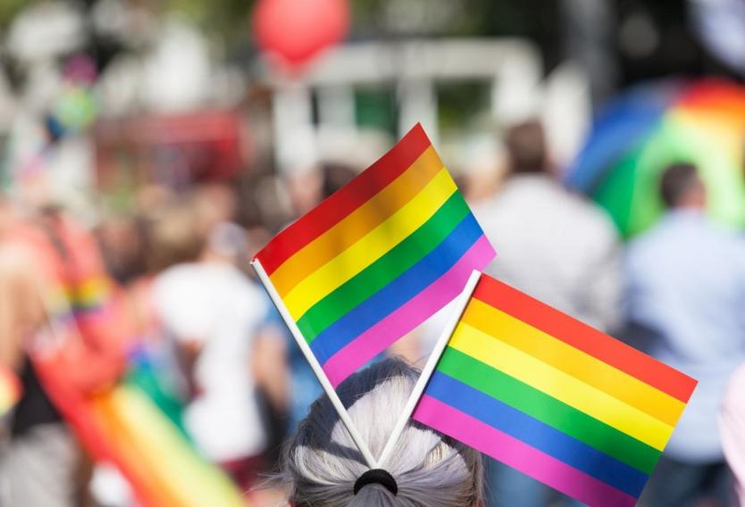 OCDE hizo dispar evaluación sobre las medidas de Chile para proteger a la comunidad LGTBI