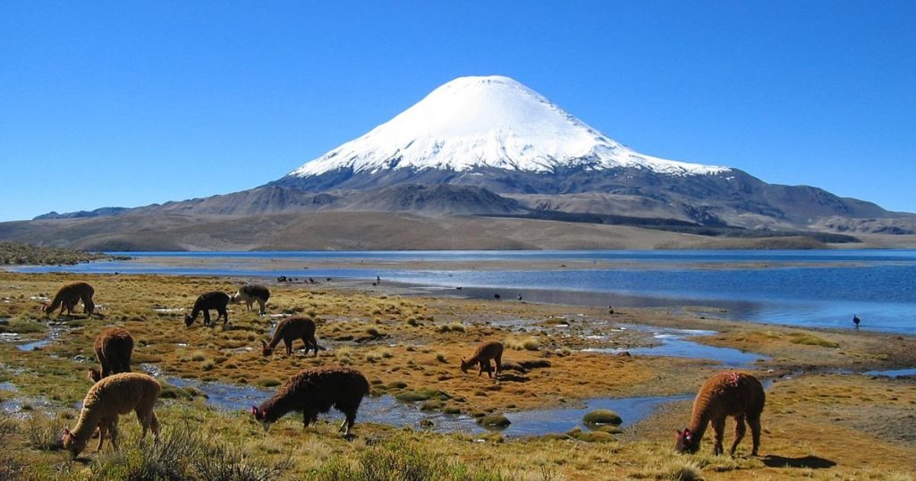 Parinacota reportó sus primeros casos de Covid-19: era la última provincia libre de la pandemia