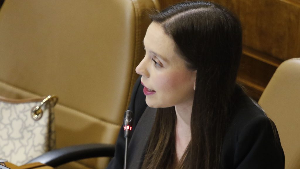 Camila Flores: “TVN es un saco roto. La gente se está cansando de esta prensa militante”