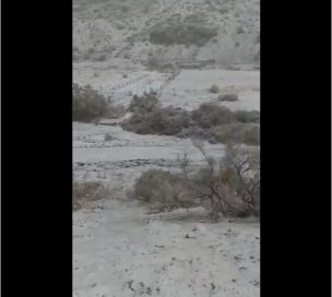 Fuerte nevazón adornó el paisaje del Valle del Elqui y sorprendió a sus habitantes