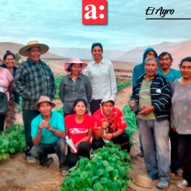 INIA URURI apoya a agricultores en tiempos de cuarentena