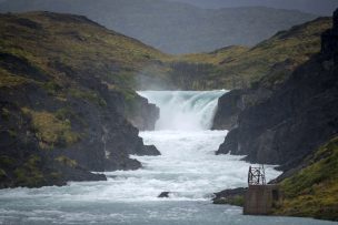 CONAF estudia reapertura gradual de los parques nacionales