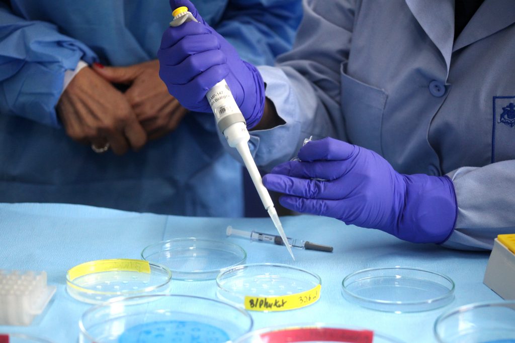 COVID-19: Vacuna de la universidad de Oxford produjo “doble defensa” contra la enfermedad