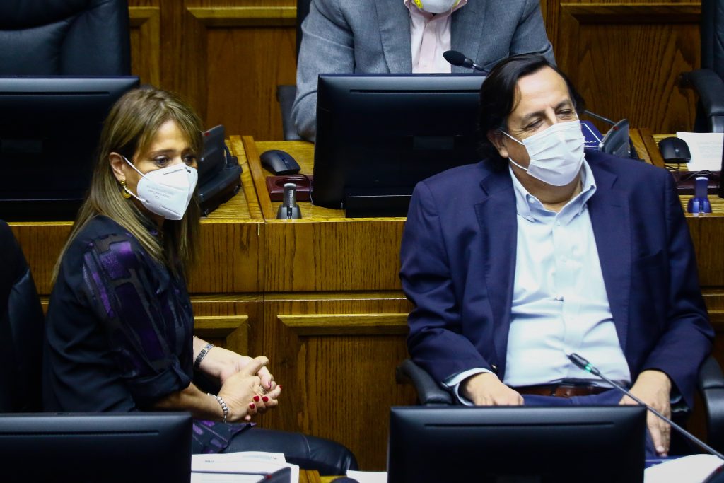 Senadora van Rysselberghe y cambio de gabinete: “Se incorporaron nuevas miradas políticas y más experiencia como Pérez y Allamand”