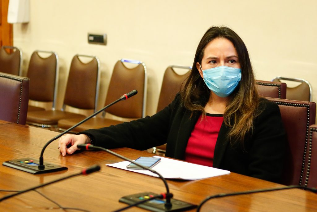 Diputada DC y coautora del proyecto de postnatal de emergencia: “Vamos a estar muy atentos al acuerdo”
