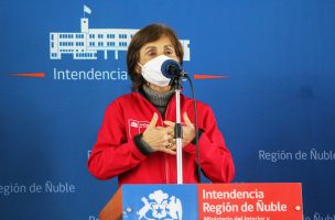 Subsecretaria Paula Daza expuso los parámetros y condiciones para el regreso de los entrenamientos