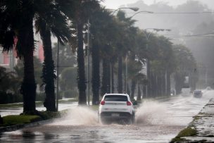 Se registran cortes de caminos en Alto Biobío y Laguna del Laja por sistema frontal