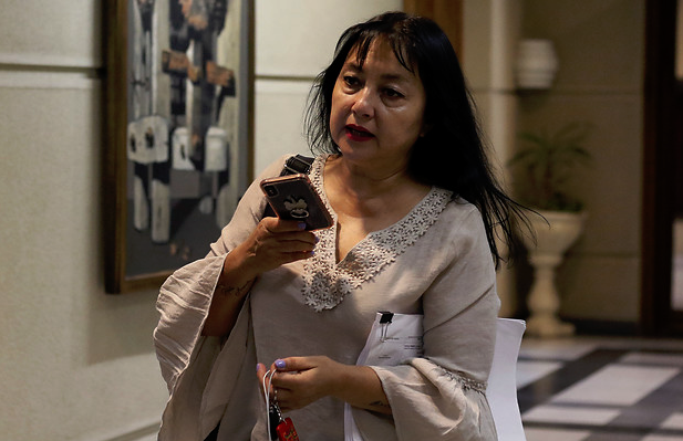 Diputada Marzán pidió cuarentena para la provincia de Marga Marga