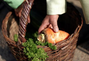 $1.700 millones destina Indap en apoyo a cooperativas de la pequeña agricultura