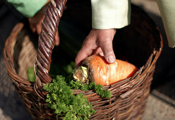 $1.700 millones destina Indap en apoyo a cooperativas de la pequeña agricultura