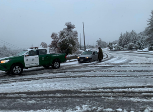 Usuarios reportan caída de nieve en la Región de O'Higgins: Carabineros informa que camino a Coya se encuentra cerrado