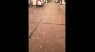 VIDEO | Usuarios reportan caída de granizos en el sector oriente de la capital