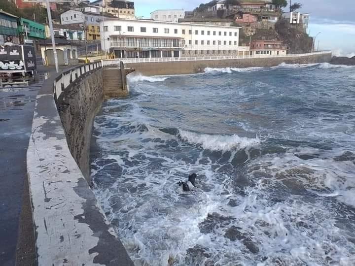 ¿Qué pasó aquí? Playa Grande de Cartagena “desapareció” por las intensas marejadas