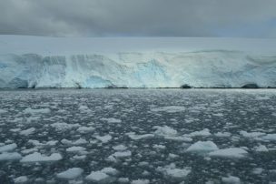 Microalgas entregan respuestas del cambio climático en la Antártica