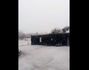 Nieve sorprende a vecinos de Lo Barnechea en la Región Metropolitana [VIDEO]