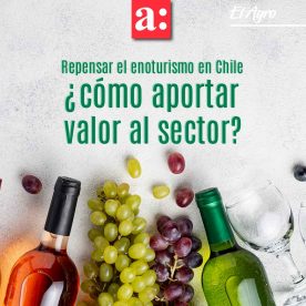 Repensar el enoturismo en Chile: ¿cómo aportar valor al sector?