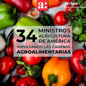 Ministros de agricultura de América acuerdan posición en conjunto para la activación agrícola post pandemia