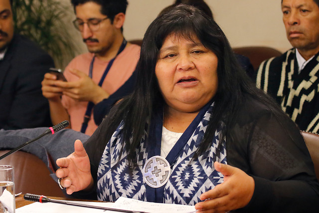 Diputada Nuyado acusó de “terrorismo económico” a gremio de camioneros