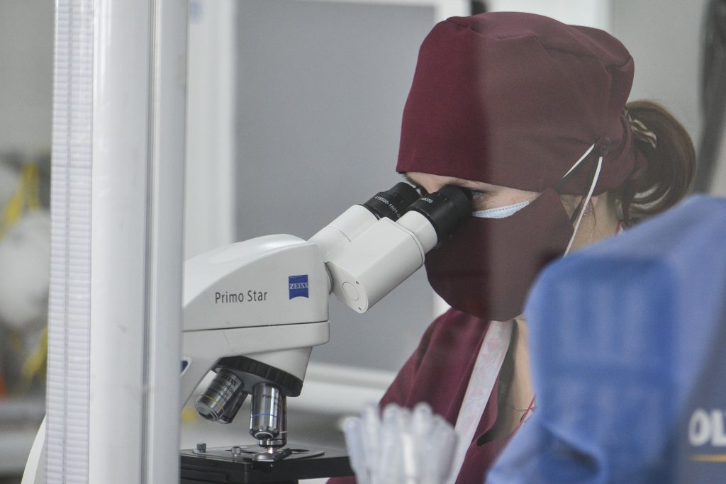 Laboratorio de la PUCV produce anticuerpos para combatir el cáncer gástrico