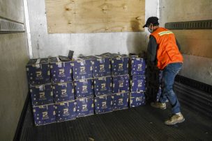 Tarapacá: investigan posibles delitos en adquisición de cajas de alimentos